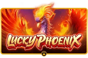 p999 app